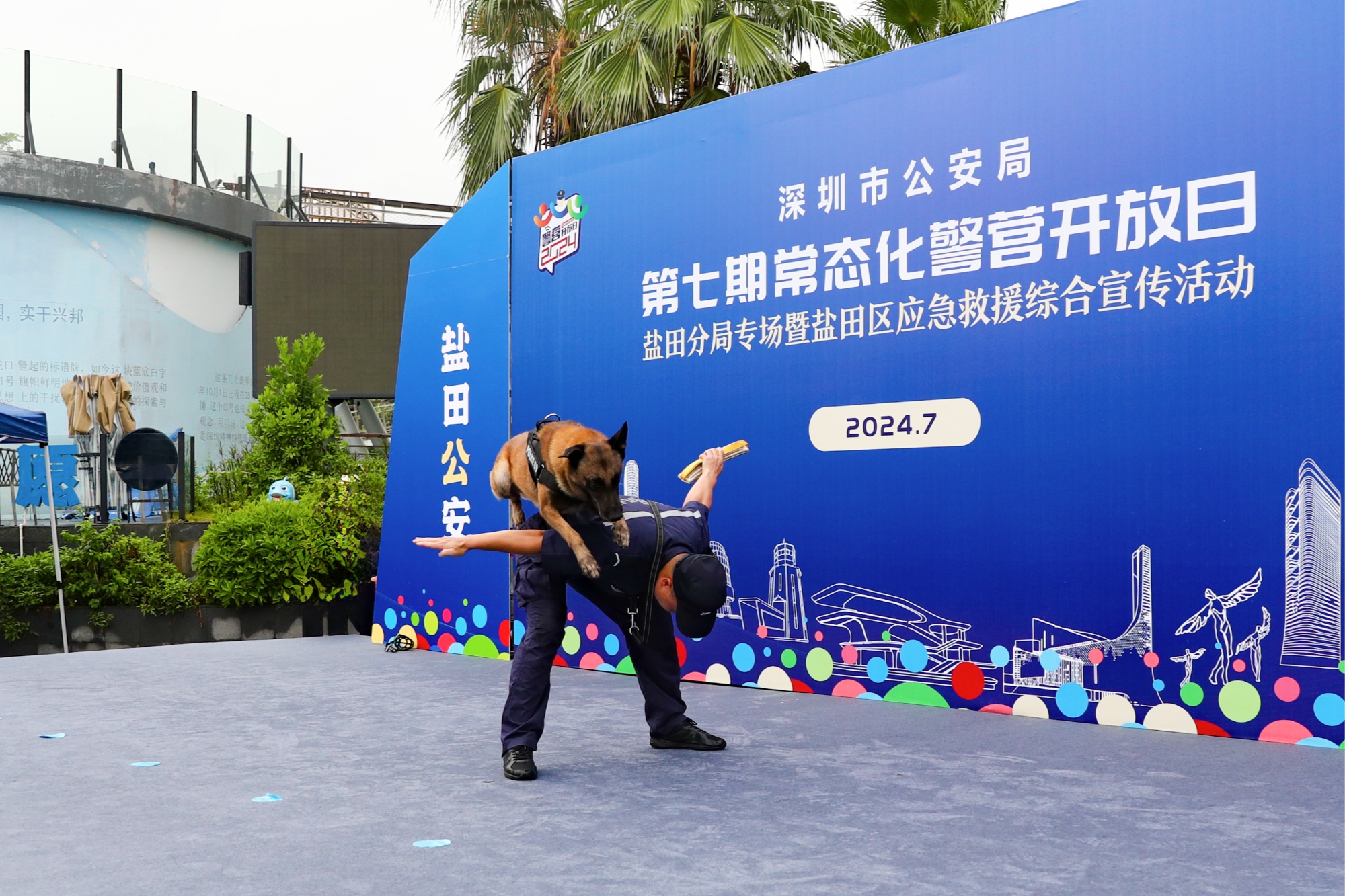 开云官网-多伦多猛龙训练开放日；赛前强势反弹引欢呼；意大利杯在即；团队化学反应显著的简单介绍